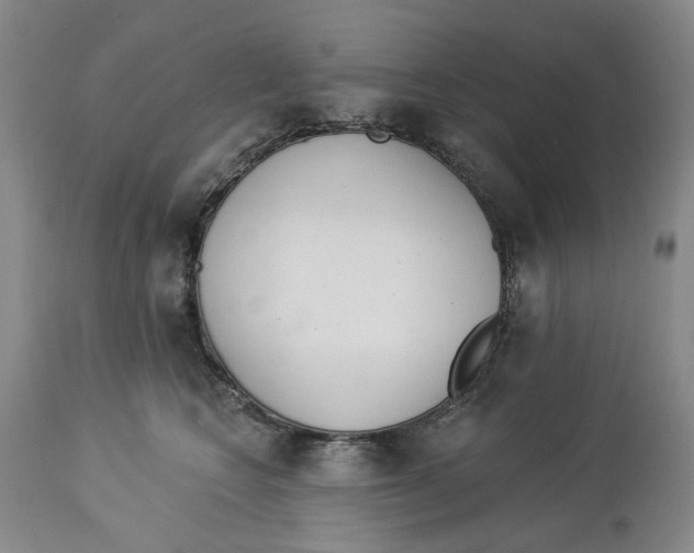 X0000114030566200910231902