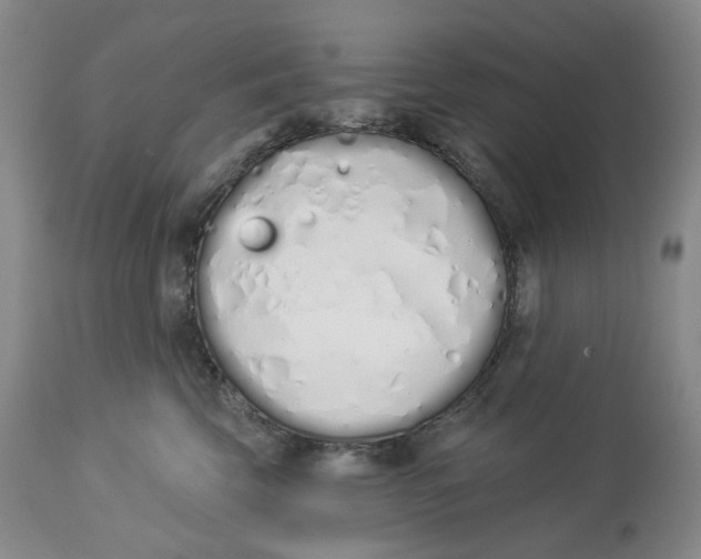 X0000114030569200910231902