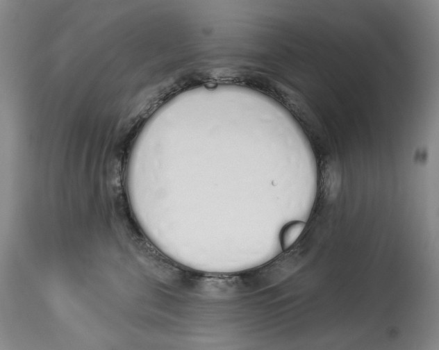 X0000114030571200910231902