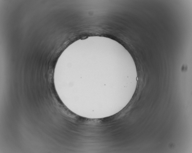 X0000114030576200910231902