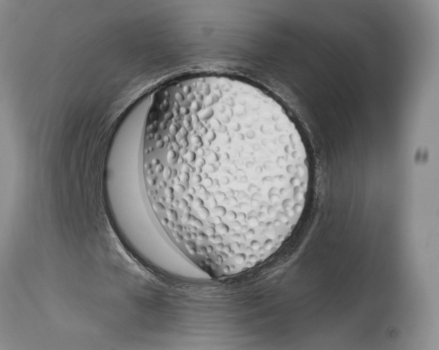 X0000114030577200910231901