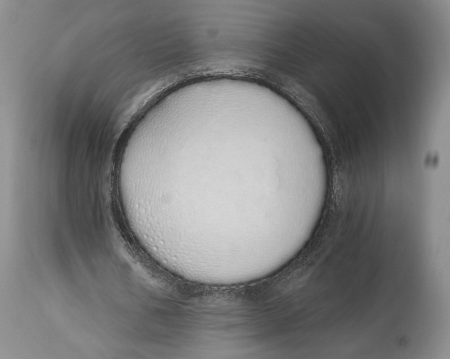 X0000114030578200910231901