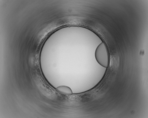 X0000114030579200910231901