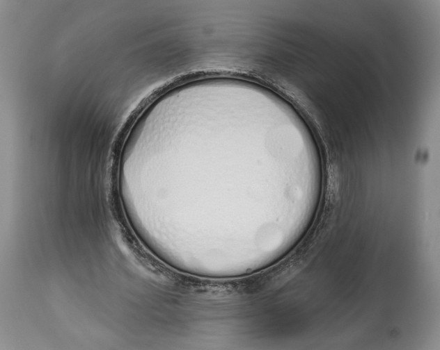 X0000114030580200910231901