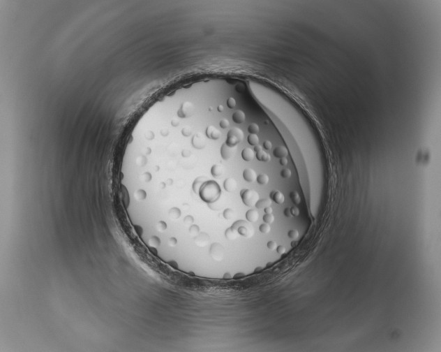 X0000114030581200910231901