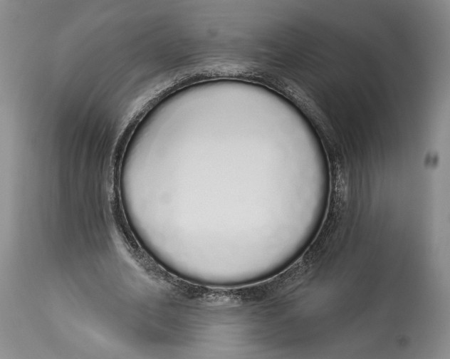 X0000114030582200910231901