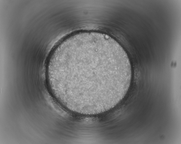 X0000114030584200910231901