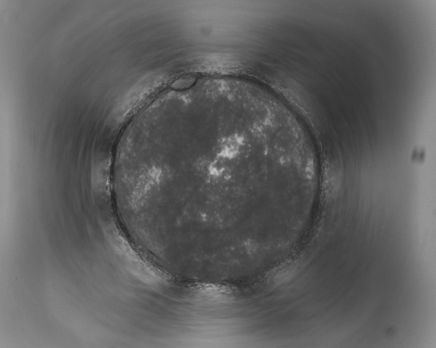 X0000114030585200910231901