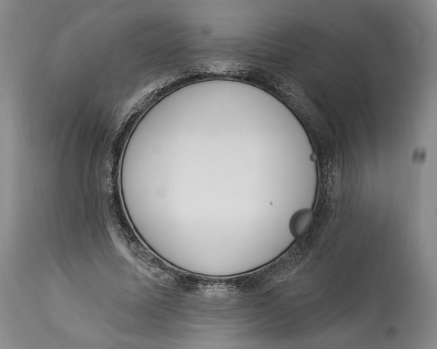 X0000114030587200910231901