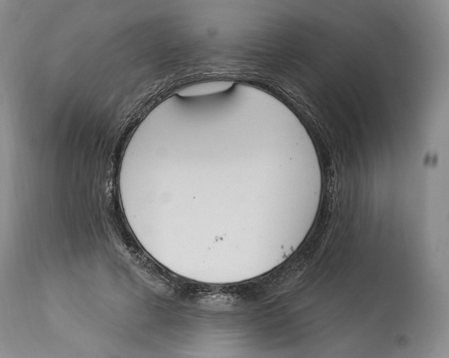 X0000114030593200910231901