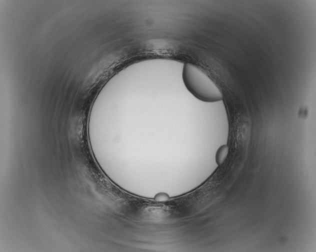 X0000114030595200910231901