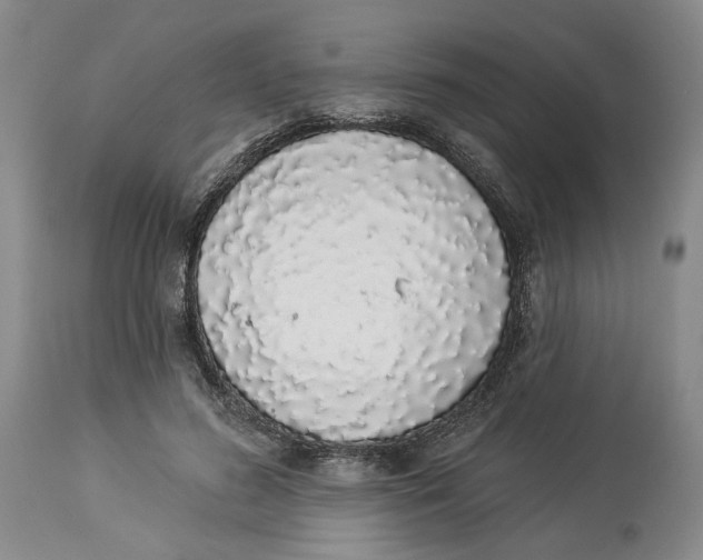 X0000114030596200910231901