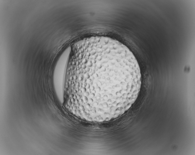 X0000114030597200910231901