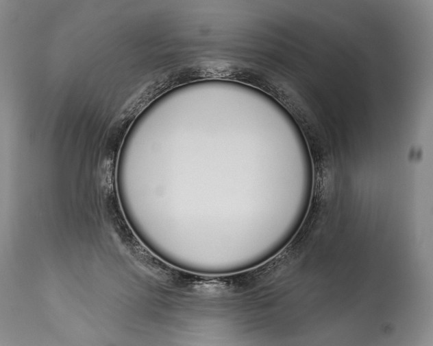 X0000114030598200910231901