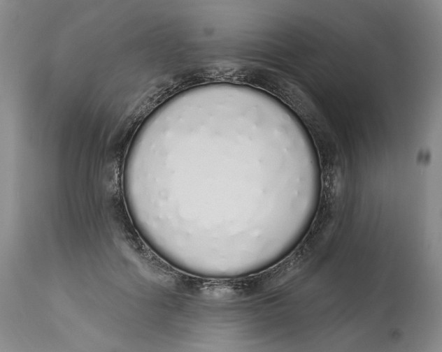 X0000114030602200910231901