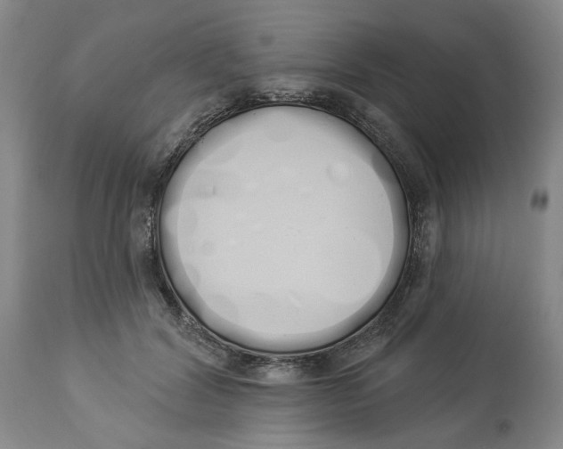 X0000114030604200910231901