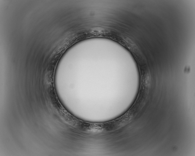 X0000114030606200910231901