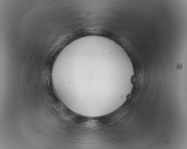 X0000114030609200910231901