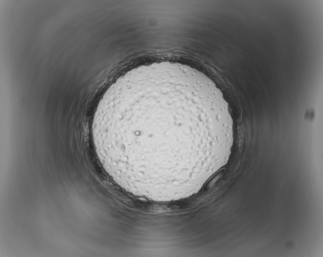 X0000114030613200910231900