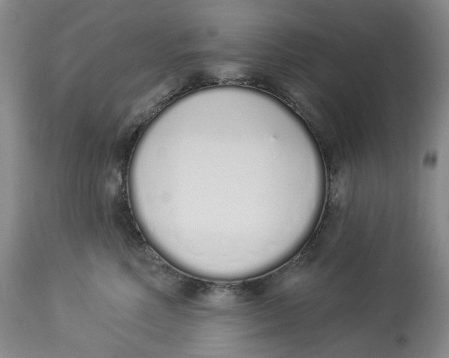 X0000114030618200910231900