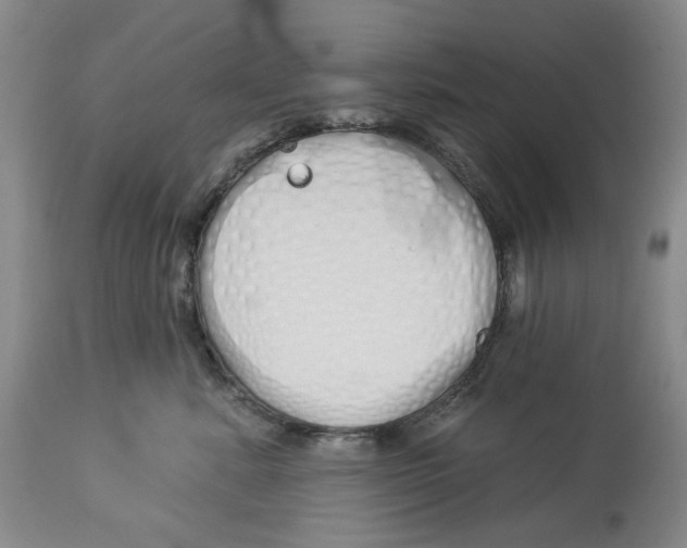 X0000114030619200910231900