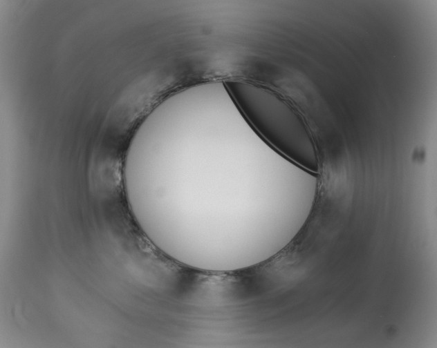 X0000114030621200910231900