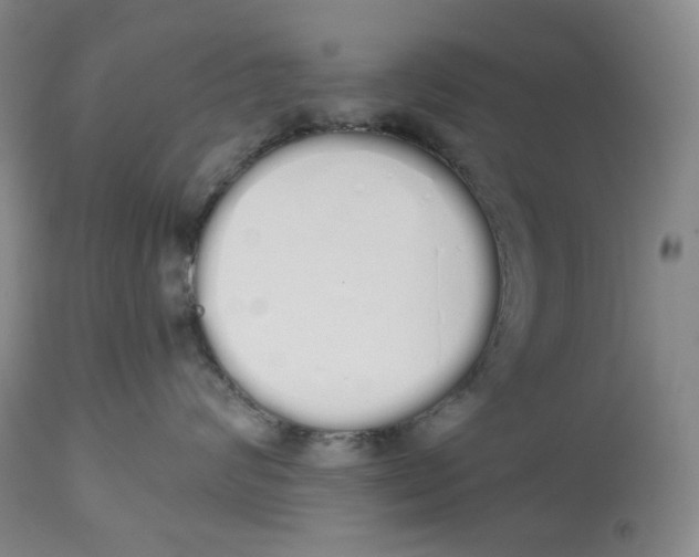 X0000114030624200910231900