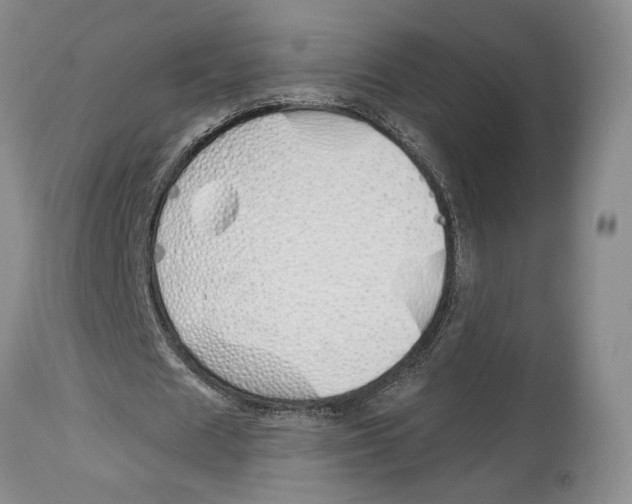 X0000114030625200910231900