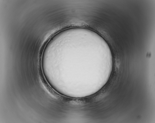 X0000114030630200910231900