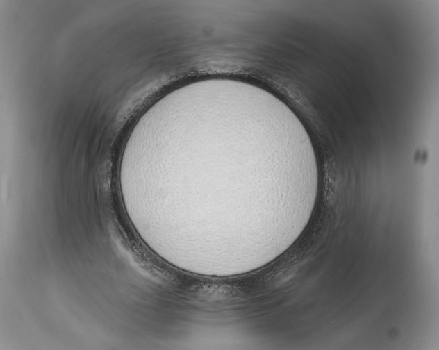 X0000114030631200910231900