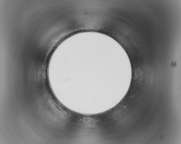 X0000114030632200910231900