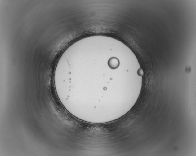 X0000114030635200910231900