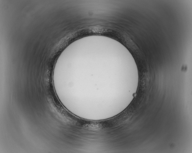 X0000114030639200910231900