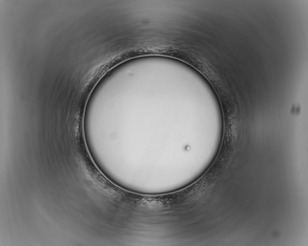 X0000114030640200910231900