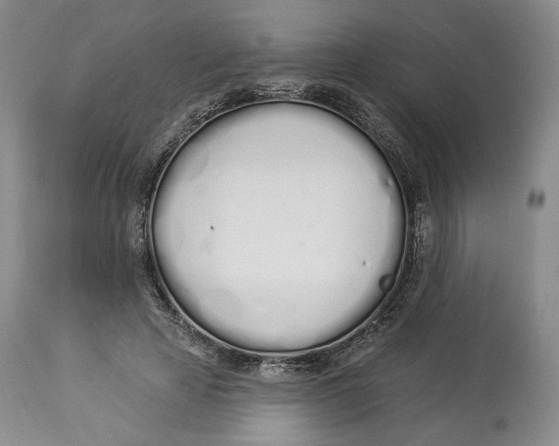 X0000114030641200910231900