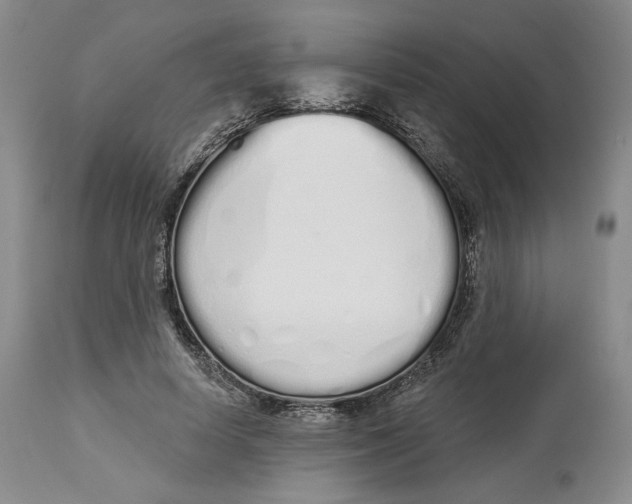 X0000114030642200910231900