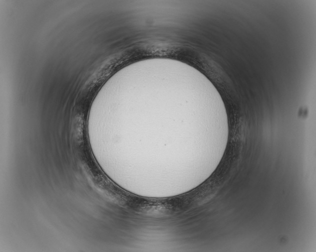 X0000114030646200910231900