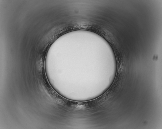 X0000114030647200910231900