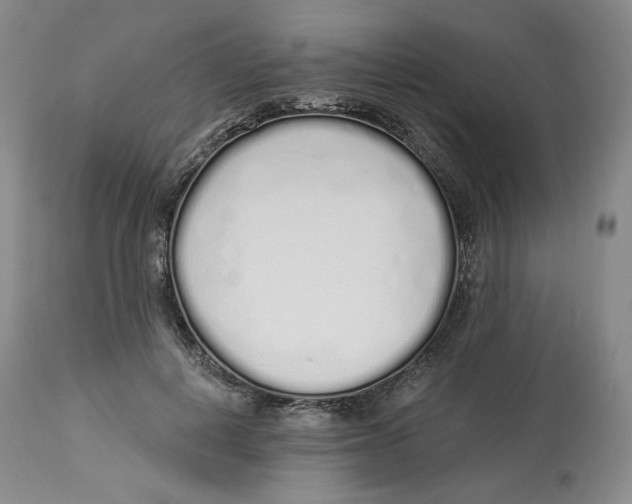 X0000114030648200910231900