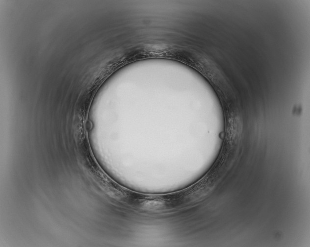 X0000114030653200910231900