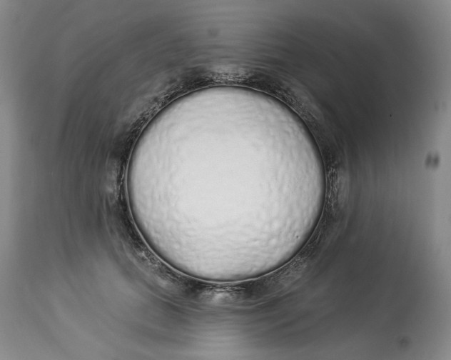 X0000114030655200910231900