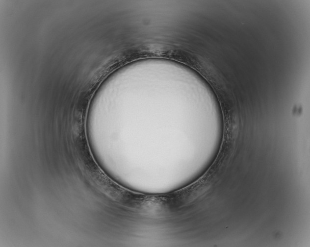 X0000114030656200910231900