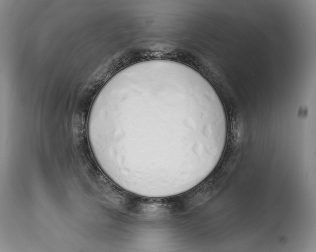 X0000114030657200910231900