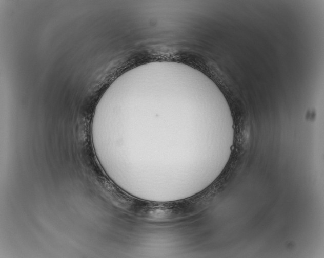 X0000114030658200910231900