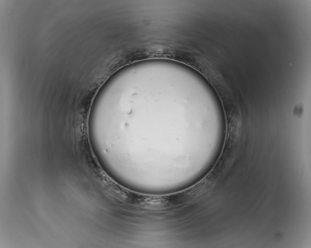 X0000114030659200910231900