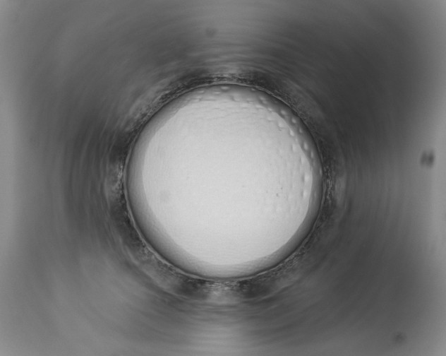 X0000114030660200910231900