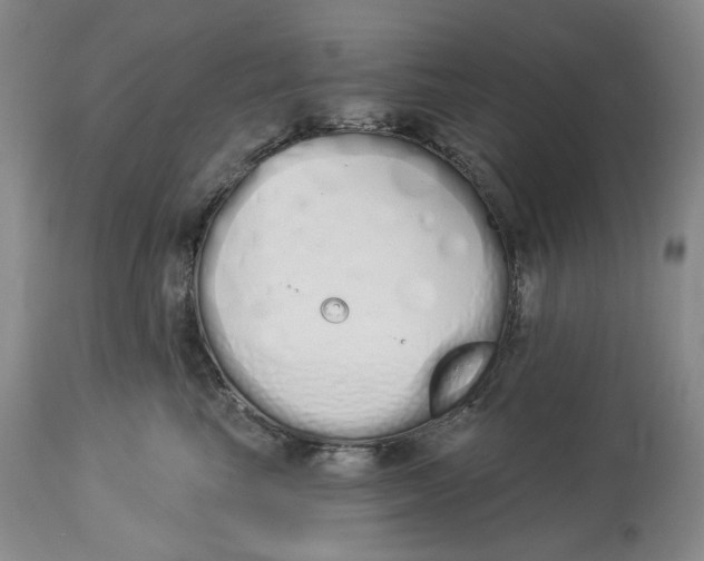 X0000114030665200910231900