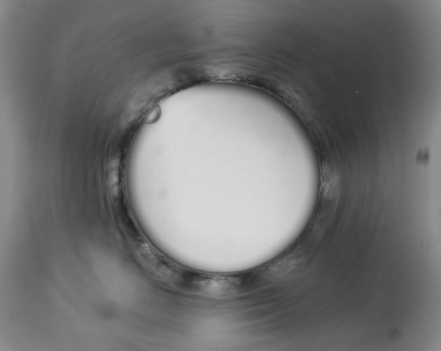 X0000114030670200910231900