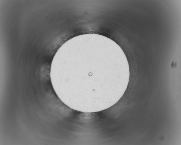 X0000114030672200910231900