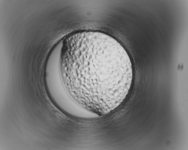 X0000114030673200910231900